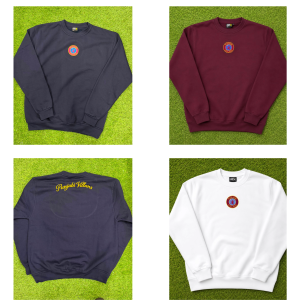 Punjabi Villans Adult Jumper